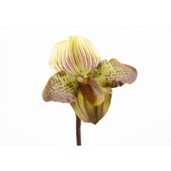 Orhidee artificiala din Plastic Galben H48cm