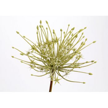 Ramura artificiala din Plastic Verde Allium spider H90cm