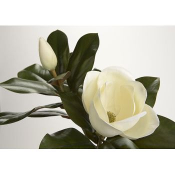 Fir de floare artificiala din Plastic Alb Magnolia H76cm