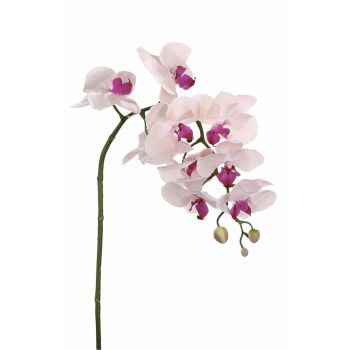 Orhidee artificiala din Plastic Roz H75cm