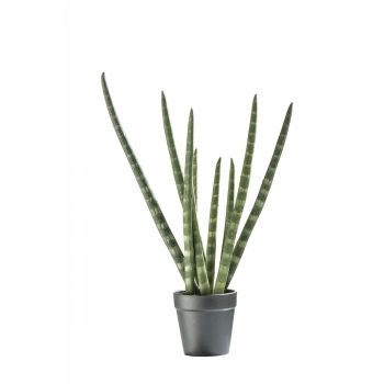 Planta artificiala din Plastic Verde Aloe vera D10xH43cm