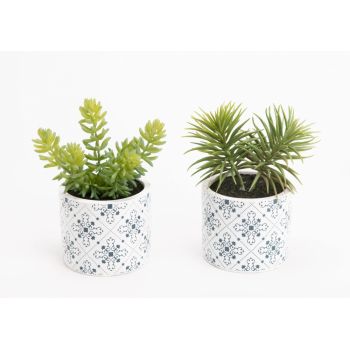 Set 2 plante artificiale din Plastic Verde Cactus D11xH17cm