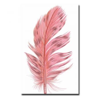 Tablou 45x70 cm Feather – Wallity