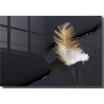 Tablou din sticlă 70x50 cm Feather – Wallity