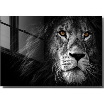 Tablou din sticlă 70x50 cm Lion – Wallity