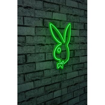 Decoratiune luminoasa LED, Playboy, Benzi flexibile de neon, DC 12 V, Verde