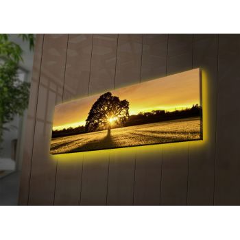 Tablou decorativ cu lumina LED, 3090DACT-68, Canvas, 30 x 90 cm, Multicolor