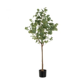 Plantă artificială Eucalyptus – Casa Selección