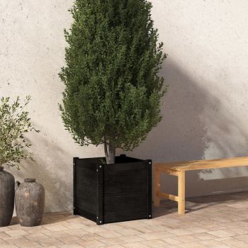 vidaXL Jardinieră de grădină, negru, 50x50x50 cm, lemn masiv de pin