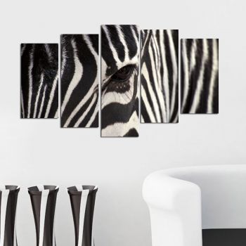 Tablou MDF ( 5 buc ) Zebra, Multicolor, 60x110 cm