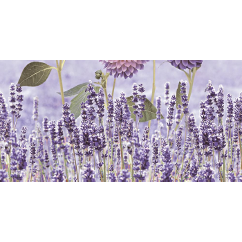 Faianta decorativa Purple HL-A, finisaj lucios, structura iesita in relief, multicolor, 60 x 30 cm