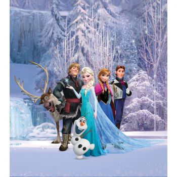 Fototapet duplex Disney Frozen, 156 x 112 cm ieftin
