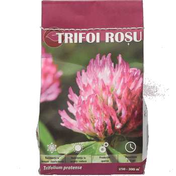 Seminte trifoi rosu, 0,5 kg ieftine