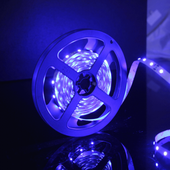 Banda LED Flink, albastru, 60 leduri/m, rola 5 m ieftina