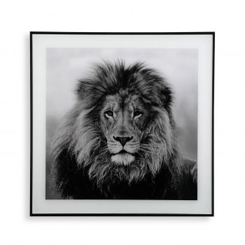 Tablou decorativ din sticla Majestic Lion, Versa, 50x50 cm