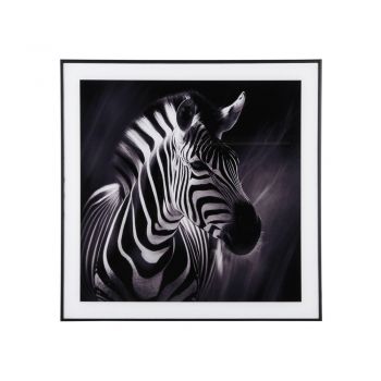 Tablou 50x50 cm Zebra – PT LIVING