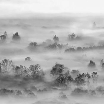 Tapet Foggy Landscape Grey Smooth VLAdiLA