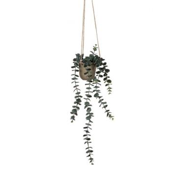 Ghiveci de agatat cu funie si frunze de eucalipt,plastic,48 cm