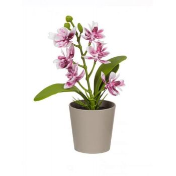 Orhidee decorativa artificiala in ghiveci, 17 cm ieftina