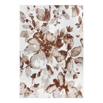 Covor maro 160x235 cm Shine Floral – Hanse Home ieftin