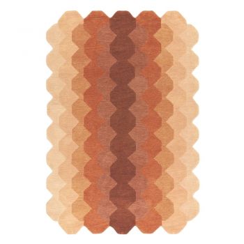 Covor cărămiziu din lână 200x290 cm Hive – Asiatic Carpets