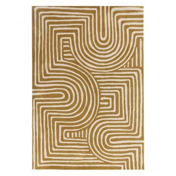 Covor galben ocru din lână 120x170 cm Reef – Asiatic Carpets
