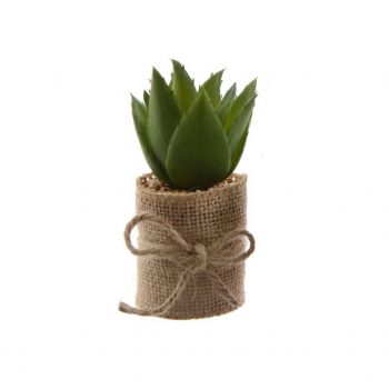 Floare artificiala in ghiveci Succulent v1, Decoris, 5 x 5 x 12 cm, plastic/iuta, verde ieftina