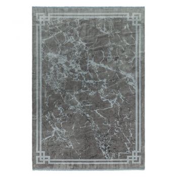 Covor gri 160x230 cm Zehraya – Asiatic Carpets