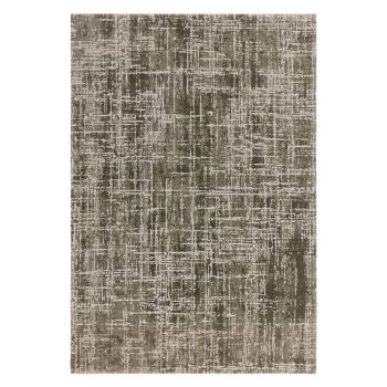 Covor kaki 200x290 cm Kuza – Asiatic Carpets