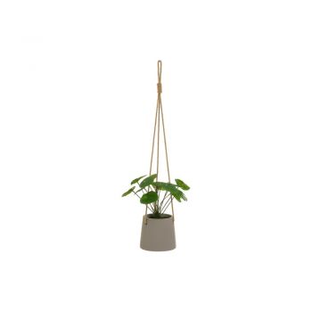 Plantă artificială (înălțime 24 cm) Pilea – Casa Selección