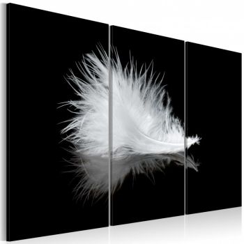 Tablou - A small feather 90x60 cm