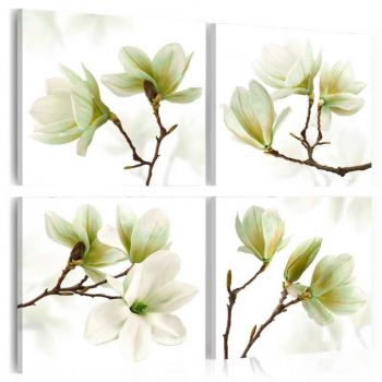 Tablou - Admiration of Magnolia 90x90 cm