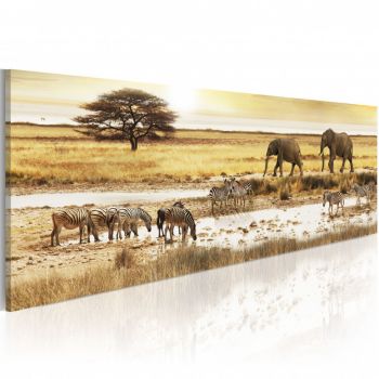 Tablou - Africa: at the waterhole 120x40 cm