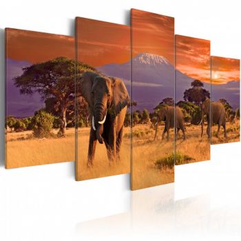 Tablou - Africa: Elephants 100x50 cm ieftin