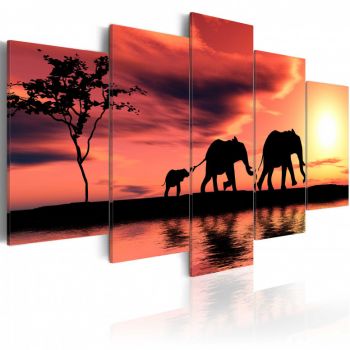Tablou - African elephants family 100x50 cm ieftin