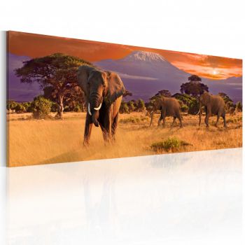 Tablou - March of african elephants 120x40 cm