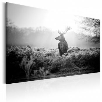 Tablou - Black and White Deer 120x80 cm ieftin
