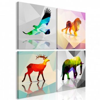 Tablou - Colourful Animals (4 Parts) 80x80 cm