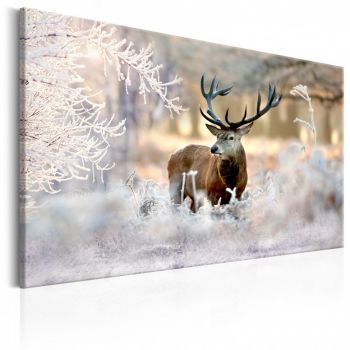 Tablou - Deer in the Cold 90x60 cm
