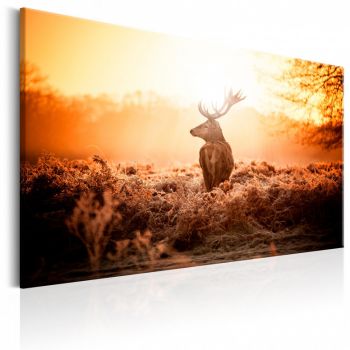 Tablou - Deer in the Sun 120x80 cm