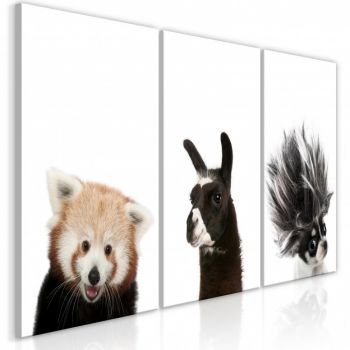 Tablou - Friendly Animals (Collection) 120x60 cm