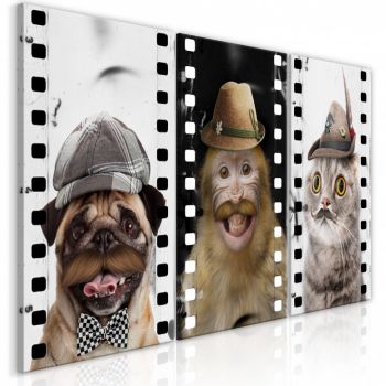 Tablou - Funny Pets (Collection) 120x60 cm