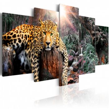 Tablou - Leopard Relaxation 100x50 cm
