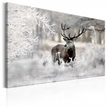 Tablou - Lonely Deer 90x60 cm