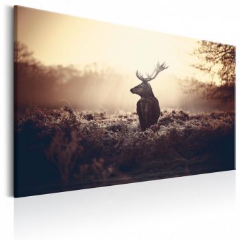 Tablou - Lurking Deer 120x80 cm