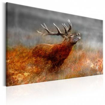 Tablou - Roaring Deer 120x80 cm