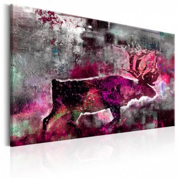 Tablou - Ruby Caribou 60x40 cm