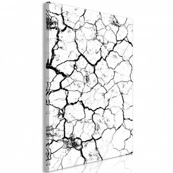 Tablou - Cracked Earth (1 Part) Vertical 80x120 cm