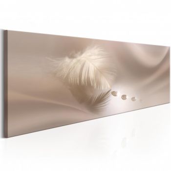 Tablou - Delicate Feather 120x40 cm