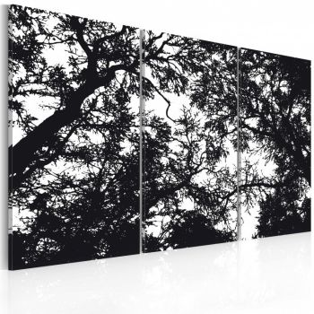 Tablou - Dense forest 60x40 cm
